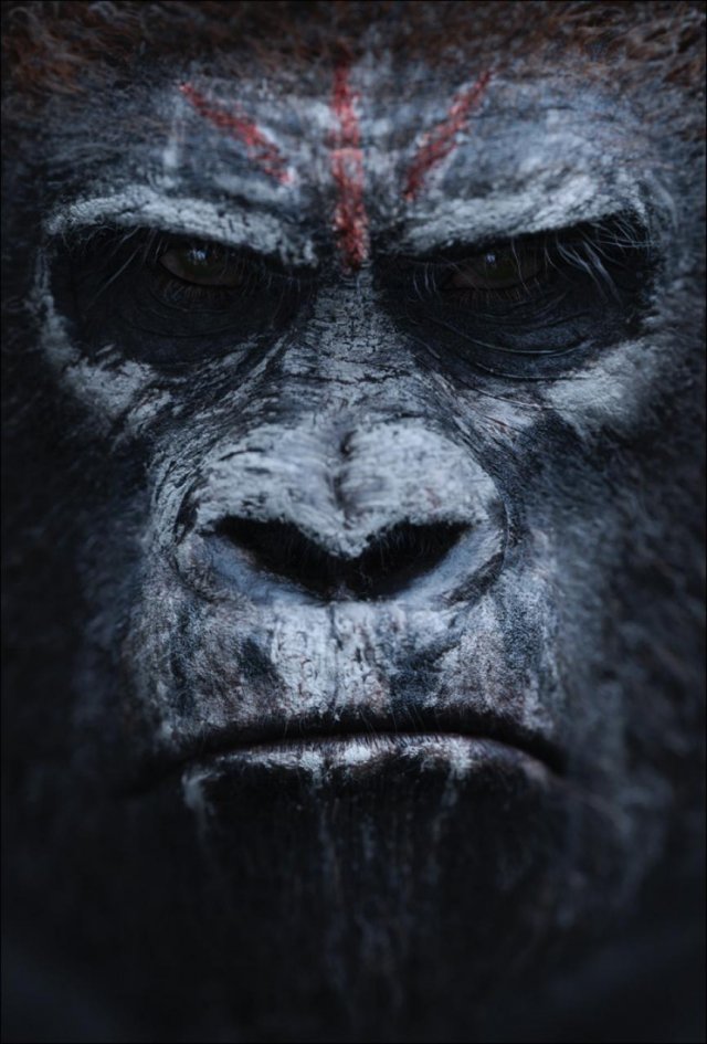 Apes Revolution: Il Pianeta delle Scimmie - Immagine 99803