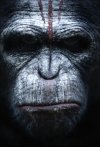 Apes Revolution: Il Pianeta delle Scimmie - Immagine 99805