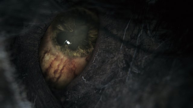 Bloodborne - Immagine 116012