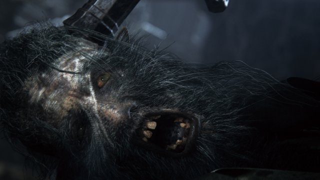Bloodborne - Immagine 116013