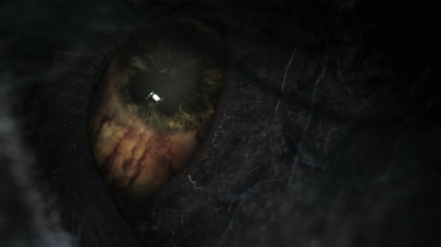 Bloodborne - Immagine 116031