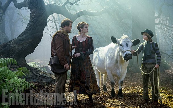 Into the Woods - Immagine 131134