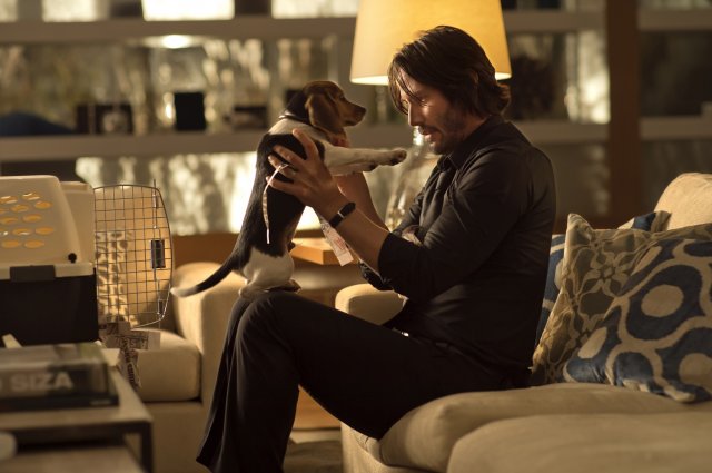 John Wick - Immagine 129345