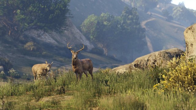 Grand Theft Auto V - Immagine 126894