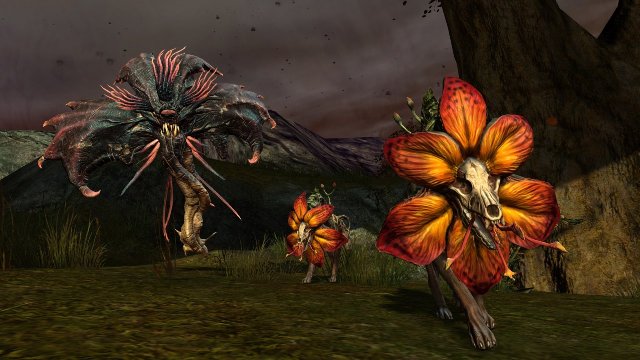 Guild Wars 2 - Immagine 122716