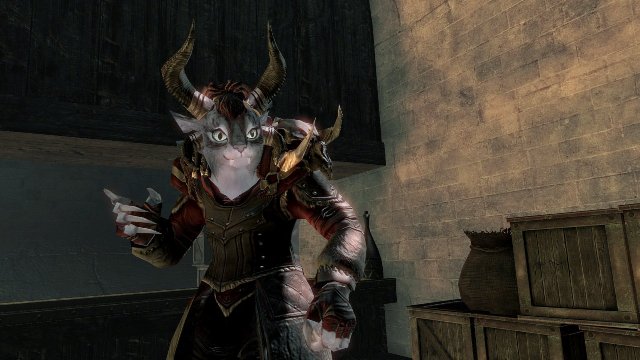 Guild Wars 2 - Immagine 104092