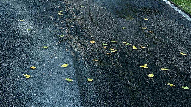 Project CARS - Immagine 101676
