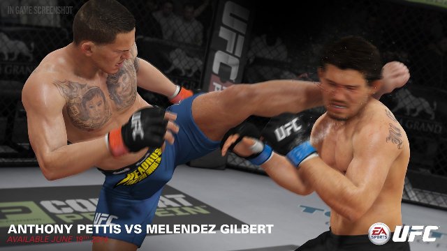 EA Sports UFC immagine 114086