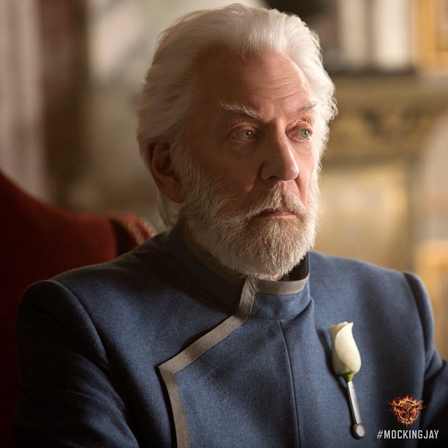 Hunger Games: Il canto della Rivolta Parte 1 - Immagine 129764