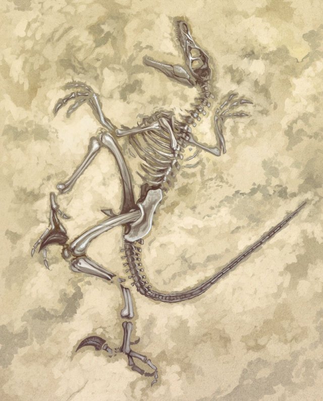 Fossil Fighters: Frontier immagine 148400
