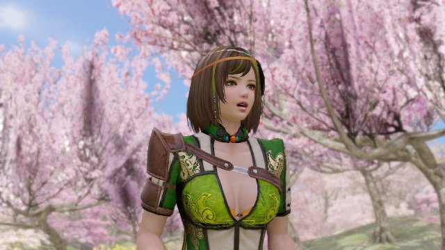 Dynasty Warriors 8: Empires - Immagine 141213