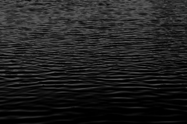 Project Zero: Maiden of Black Water - Immagine 147692