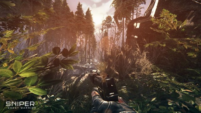 Sniper: Ghost Warrior 3 - Immagine 159275