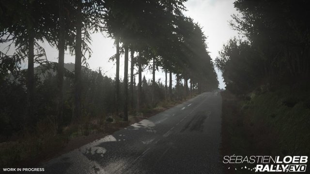 Sébastien Loeb Rally Evo - Immagine 166177