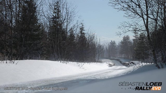 Sébastien Loeb Rally Evo - Immagine 139724