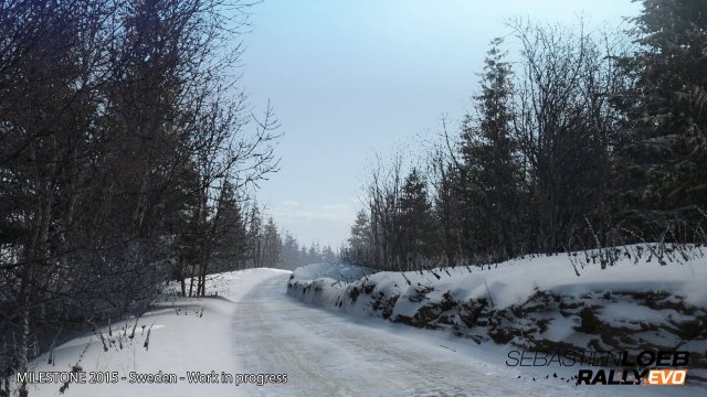 Sébastien Loeb Rally Evo - Immagine 139728