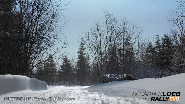 Sébastien Loeb Rally Evo - Immagine 139730