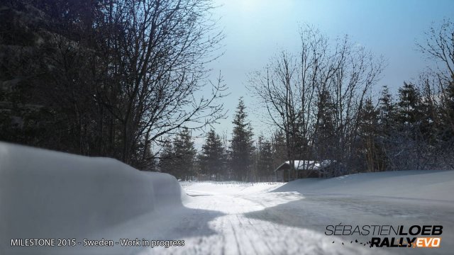 Sébastien Loeb Rally Evo - Immagine 139732