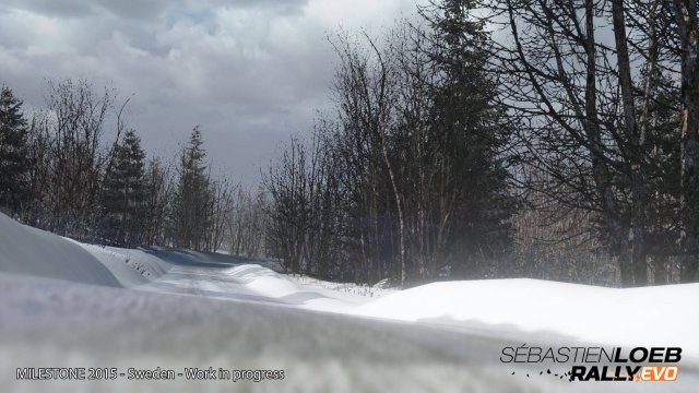 Sébastien Loeb Rally Evo - Immagine 139736