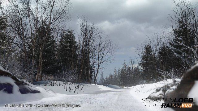 Sébastien Loeb Rally Evo - Immagine 139738