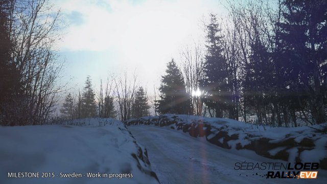 Sébastien Loeb Rally Evo - Immagine 139742