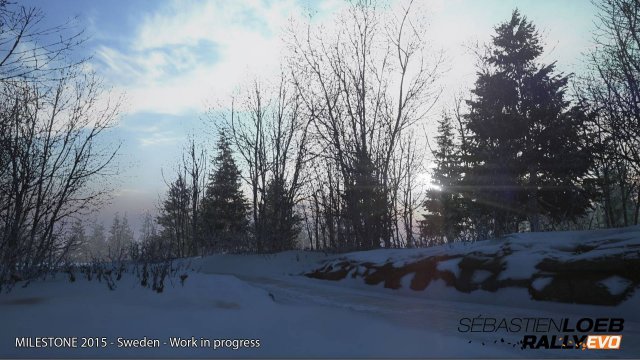 Sébastien Loeb Rally Evo - Immagine 139744