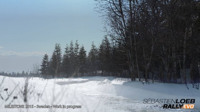 Sébastien Loeb Rally Evo - Immagine 139746
