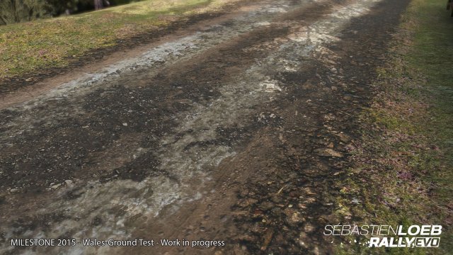 Sébastien Loeb Rally Evo - Immagine 145557