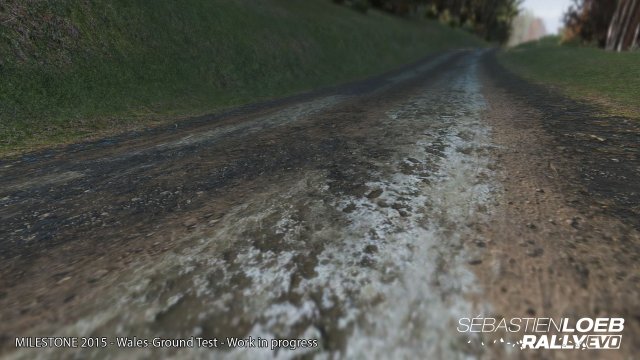 Sébastien Loeb Rally Evo - Immagine 145560