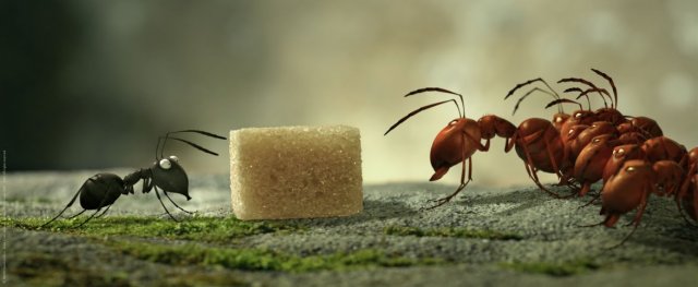 Minuscule - La Valle delle Formiche Perdute immagine 138033