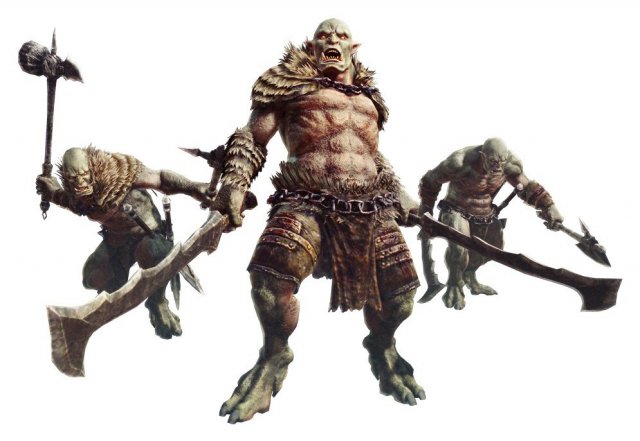 Dragon's Dogma Online - Immagine 141008