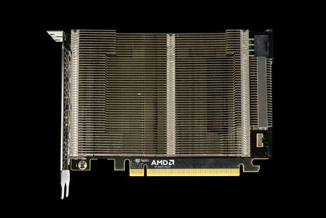 AMD - Immagine 162410