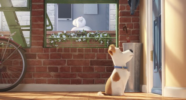 Pets - Vita da Animali immagine 157318