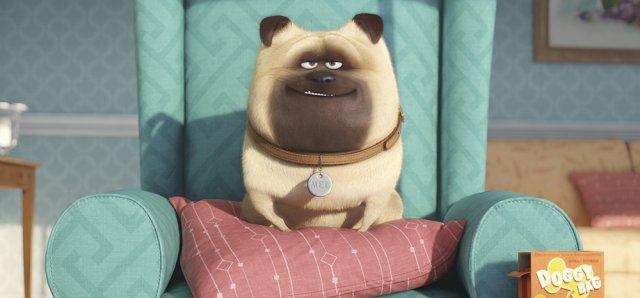Pets - Vita da Animali immagine 157323