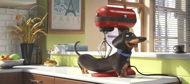 Pets - Vita da Animali immagine 157324