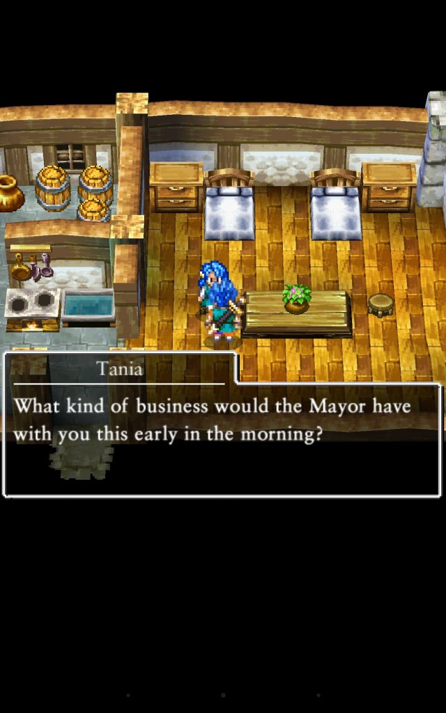 Dragon Quest VI: Realms of Revelation - Immagine 157837