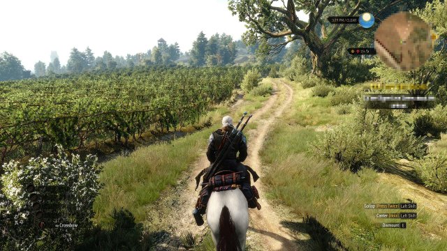 The Witcher 3: Hearts of Stone immagine 165175