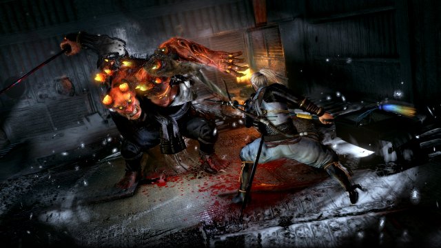 NiOh - Immagine 171512