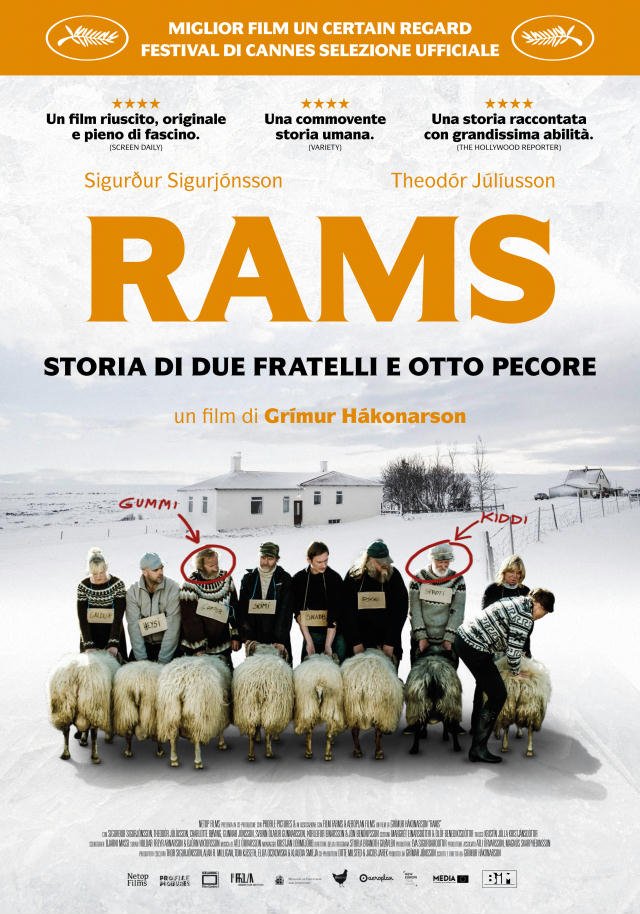 RAMS - Storia di due Fratelli e Otto Pecore immagine 167362
