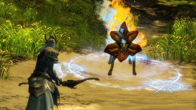 Guild Wars 2 - Immagine 151470