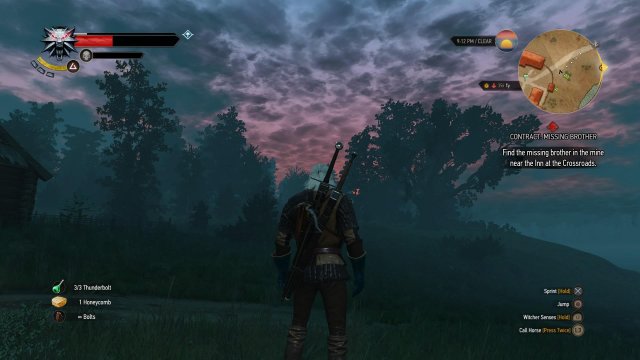 The Witcher 3: Wild Hunt - Immagine 152361
