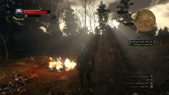 The Witcher 3: Wild Hunt - Immagine 152400
