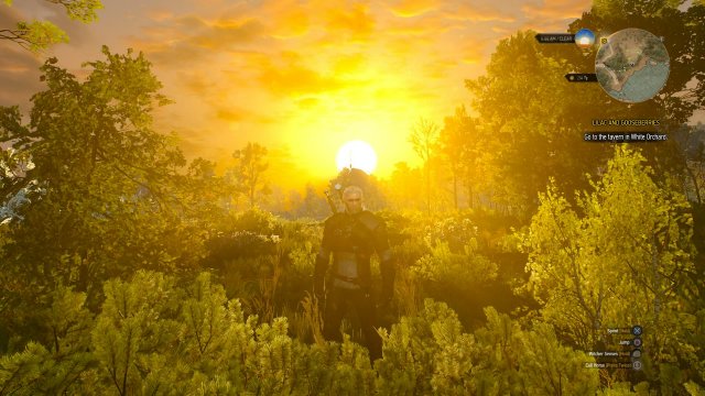 The Witcher 3: Wild Hunt - Immagine 152415