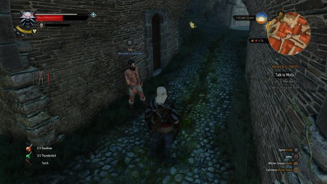 The Witcher 3: Wild Hunt - Immagine 152433