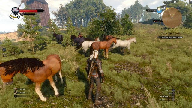 The Witcher 3: Wild Hunt - Immagine 152436