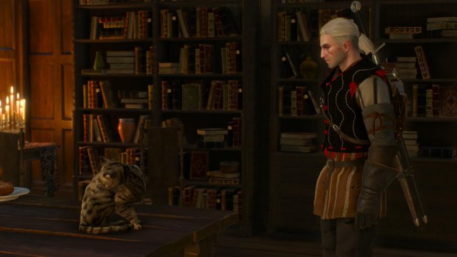 The Witcher 3: Wild Hunt - Immagine 152454