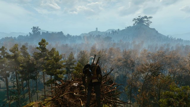 The Witcher 3: Wild Hunt immagine 152486