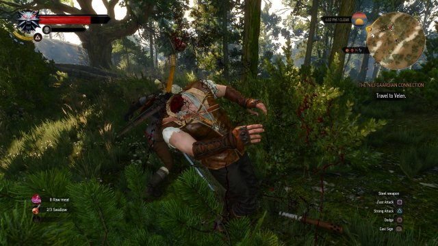 The Witcher 3: Wild Hunt - Immagine 152493