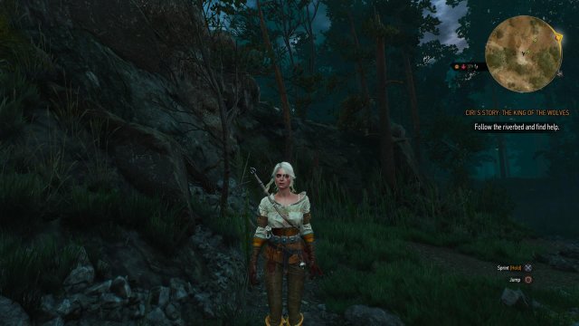 The Witcher 3: Wild Hunt - Immagine 152499