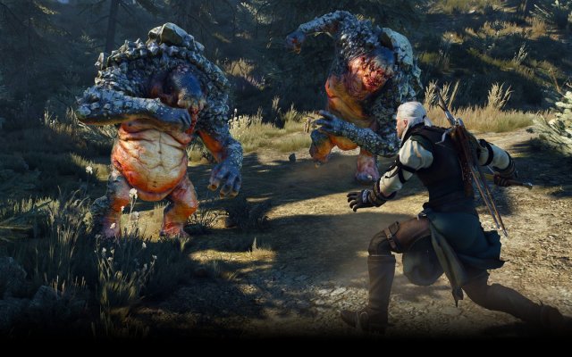 The Witcher 3: Wild Hunt - Immagine 150629